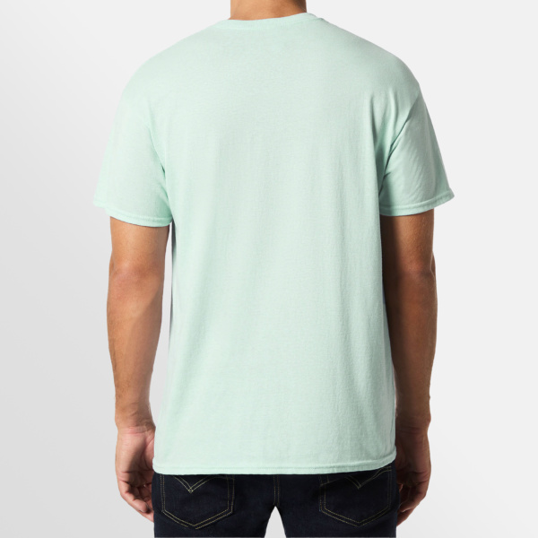 Custom Printed T-shirts Gildan Essential Heavy Tee Model Image Back in Mint Green